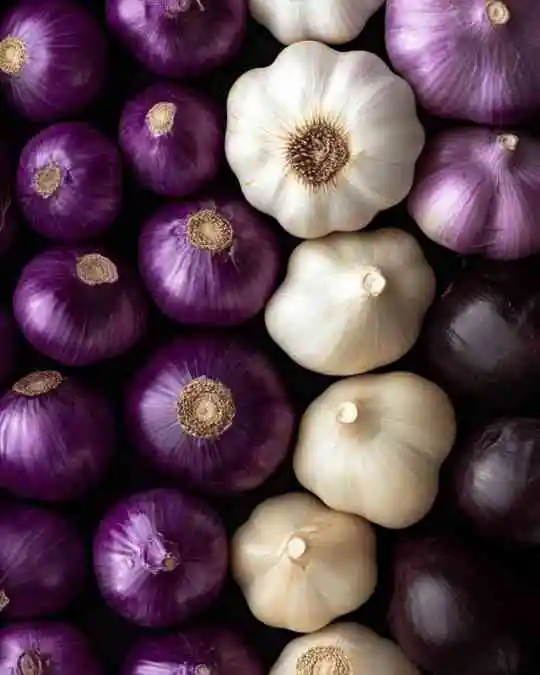 Garlic vs. Purple Garlic What's the Difference